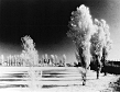 infrared photography