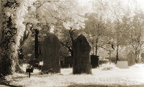 Cemetary stones